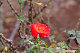 image0173