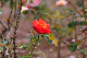 image0174