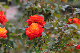 image0176