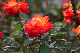 image0180
