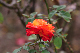 image0182