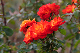 image0183