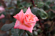 image0186