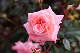 image0188