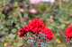 image0190