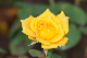 image0194