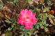 image0196