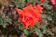 image0198
