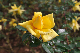 image0200