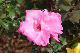 image0201