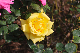 image0202