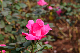 image0203