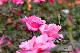 image0208