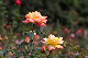 image0211
