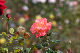 image0212