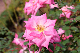 image0213