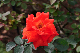 image0217