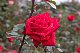 image0220