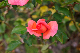 image0222