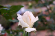 image0228