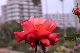 image0231