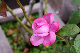 image0233
