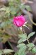 image0234