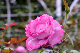 image0235
