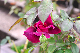 image0237