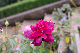 image0241