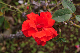image0243