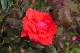 image0244