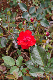 image0246