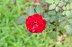 image0254