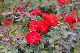 image0257
