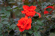 image0265