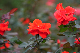 image0266