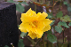 image0269