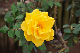 image0271
