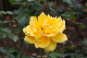 image0272