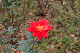 image0276