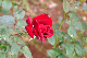 image0279
