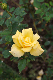 image0280