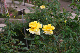 image0281