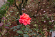 image0282