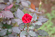 image0283
