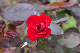 image0284