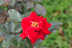 image0286