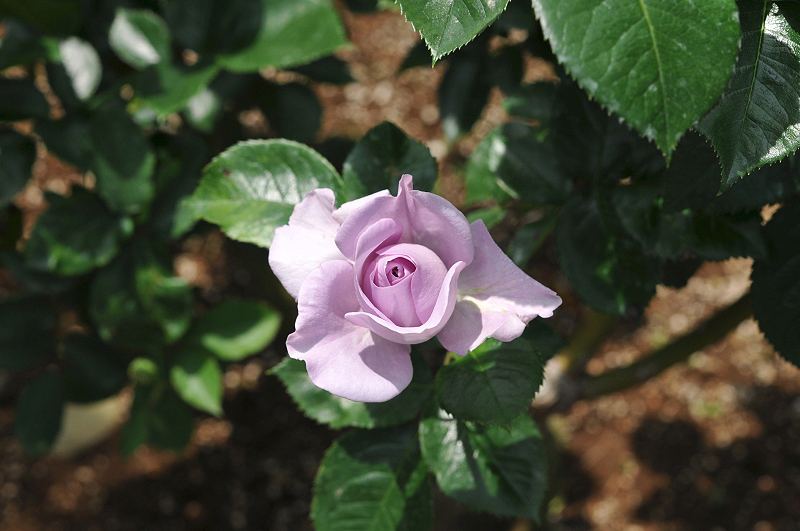 image0102