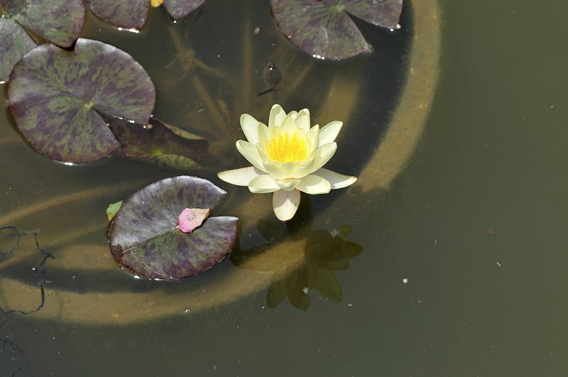 image0111